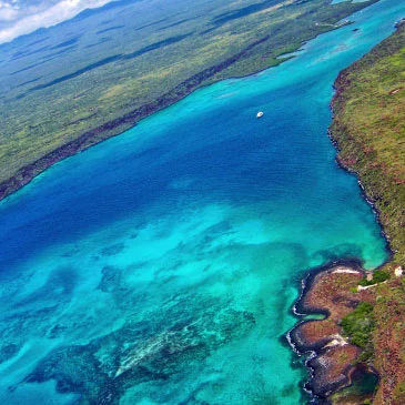 galapagos2