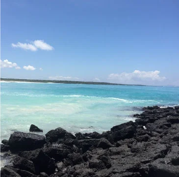 galapagos3
