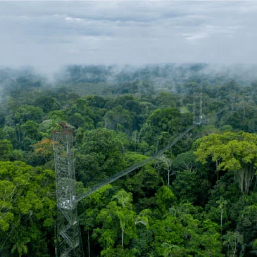 yasuni1